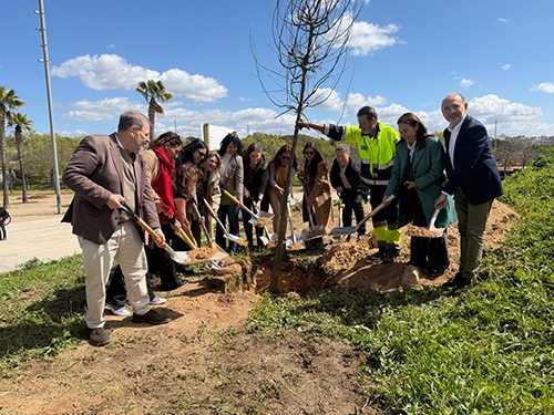 healthy cities 2026 planta arbol 